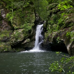 Potoroo Falls, NSW_1