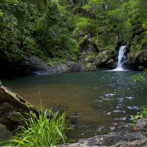 Potoroo Falls, NSW_2