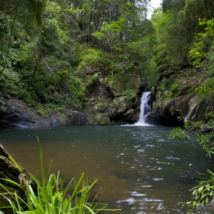 Potoroo Falls, NSW_3