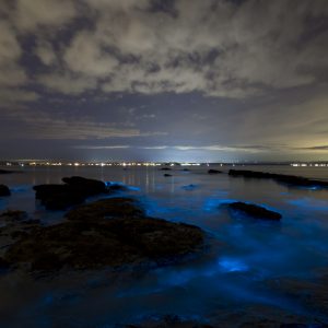 Vincentia, NSW