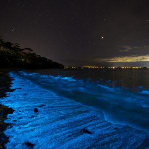 Vincentia, NSW
