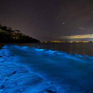Vincentia, NSW