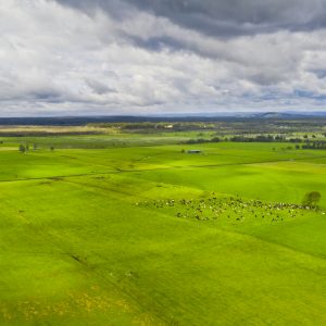Nowra, NSW
