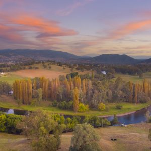 Tumut, NSW