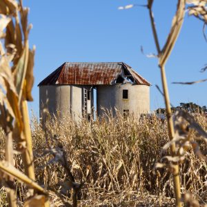Bolong, NSW