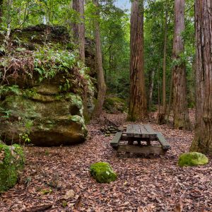 Jerrawangala NSW