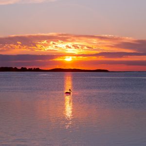 Shoalhaven Heads, NSW