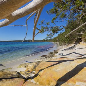 Bristol Point, NSW