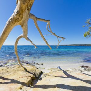 Bristol Point, NSW
