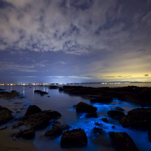 Vincentia, NSW