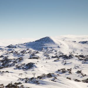 Blue Cow, NSW
