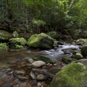 Nowra, NSW