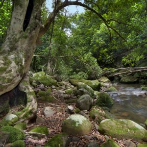 Nowra, NSW