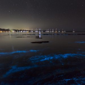 Callala Bay, NSW