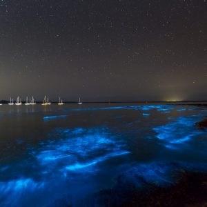 Callala Bay, NSW