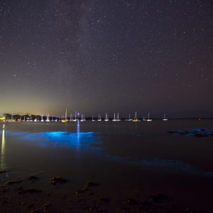 Callala Bay, NSW