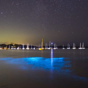 Callala Bay, NSW