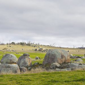 Cooma, NSW