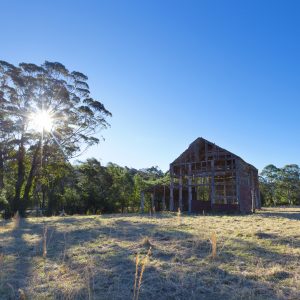 East Lynne, NSW