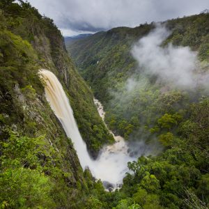 Elands, NSW