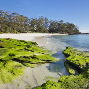 Hyams Beach, NSW