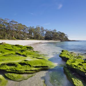 Hyams Beach, NSW