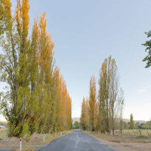 Tumut, NSW