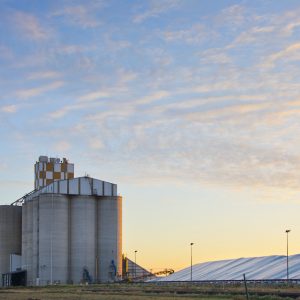 Moree, NSW