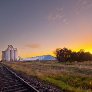 Moree, NSW