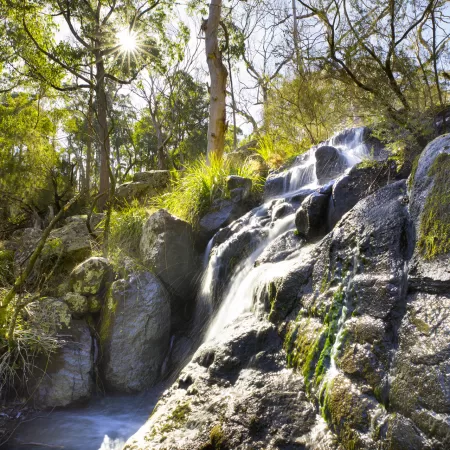 Mount Kaputar National Park, Narrabri, NSW
