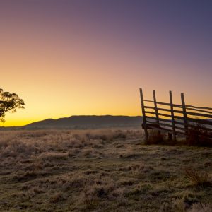 Mudgee, NSW