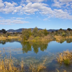 Mudgee, NSW