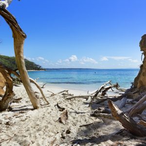 Jervis Bay, NSW