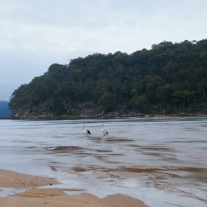 Patonga, NSW