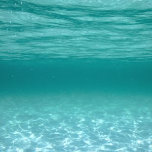 Hyams Beach, NSW