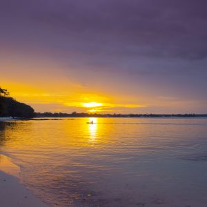 Vincentia, NSW