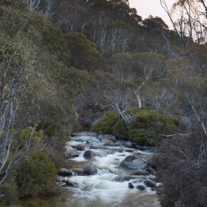 Thredbo, NSW