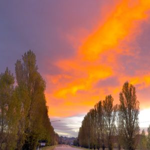 Tumut, NSW