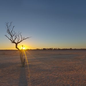 Camerons Corner, QLD