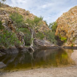 Butterfly Springs, NT