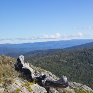 Miowera, VIC