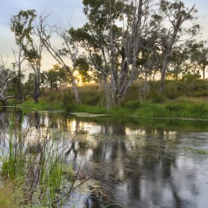 Fletchers Creek, Queensland