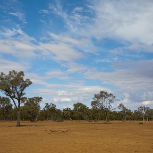 Thallon, QLD