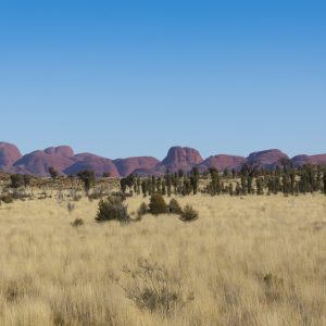 Kata Tjuta, NT
