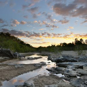 Palmer River, FNQ