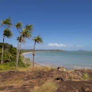 Cape York Peninsula, FNQ