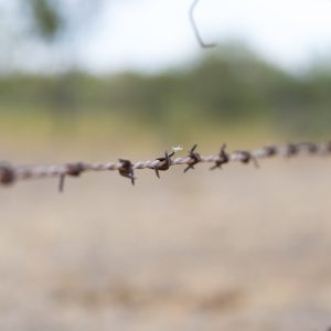 Barbed Wire Fencing