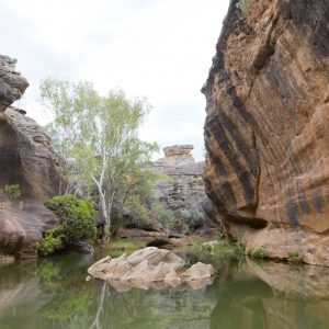 Cape York Peninsula, FNQ