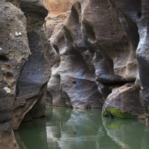 Cape York Peninsula, FNQ