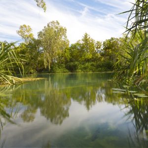 Lawn Hill, North West Queensland